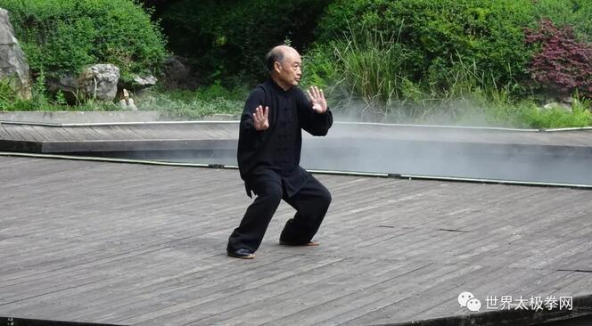 名家表演:张国祥