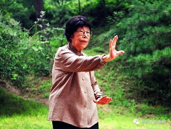 孙剑云先生拳照