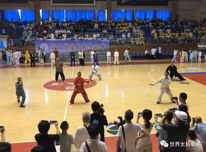 各流派青年太极名家表演