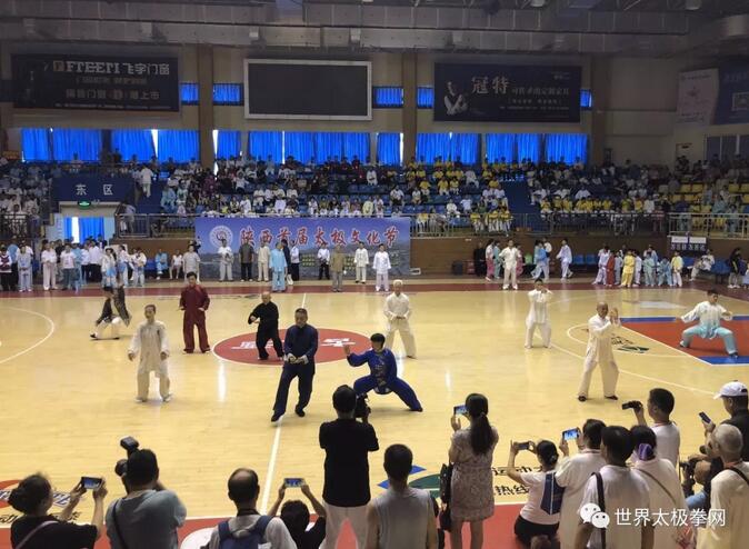 各流派青年太极名家表演