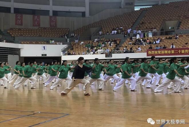 东岳太极拳表演