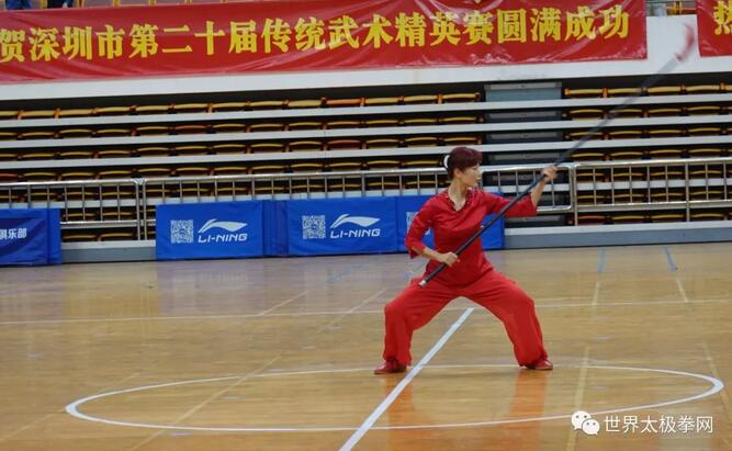 门敢红老师表演东岳太极枪