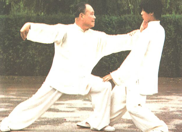 杨式太极拳