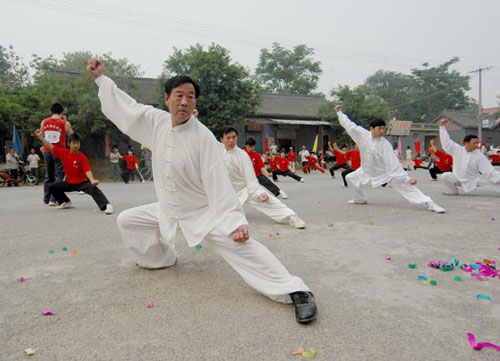 王西安太极拳