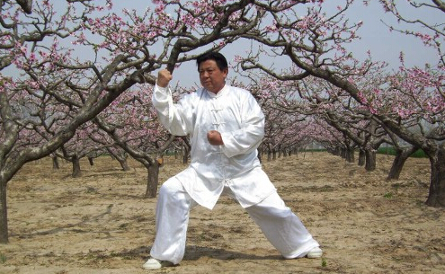 朱老虎