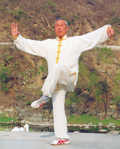 李秉慈练拳中