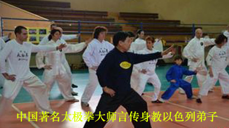 李恩久大师分节展示太极拳打法