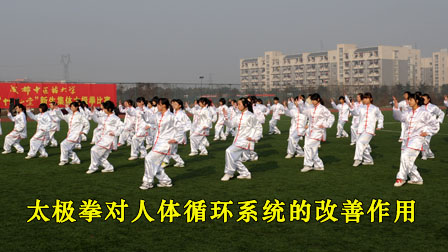 太极拳对人体循环系统的改善作用