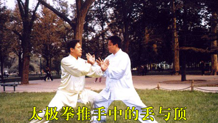 太极拳推手中的丢与顶