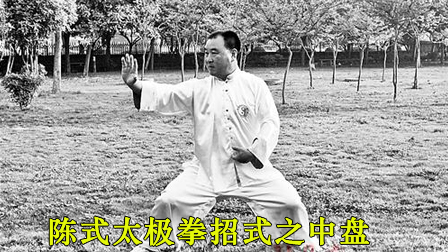陈式太极拳招式之中盘