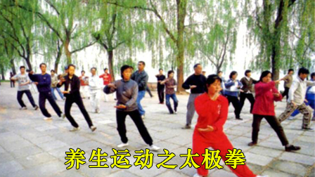 养生运动之太极拳