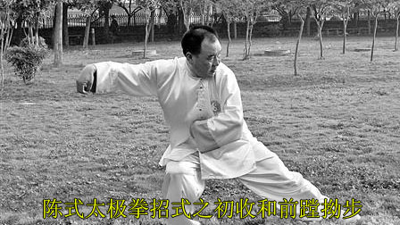 陈式太极拳招式之初收和前蹚拗步