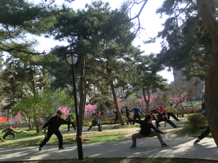 学员跟拳(2)