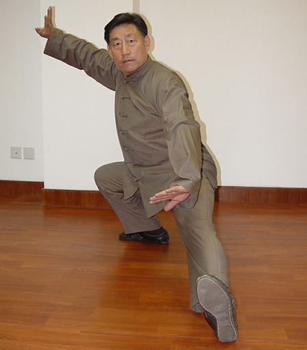 陈小旺太极拳势
