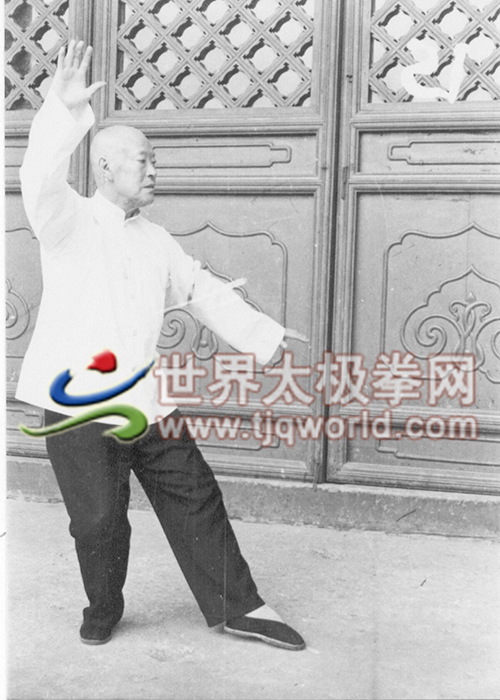 李雅轩太极拳架