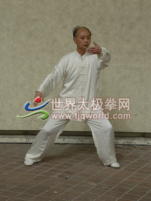 陈龙骧太极拳势