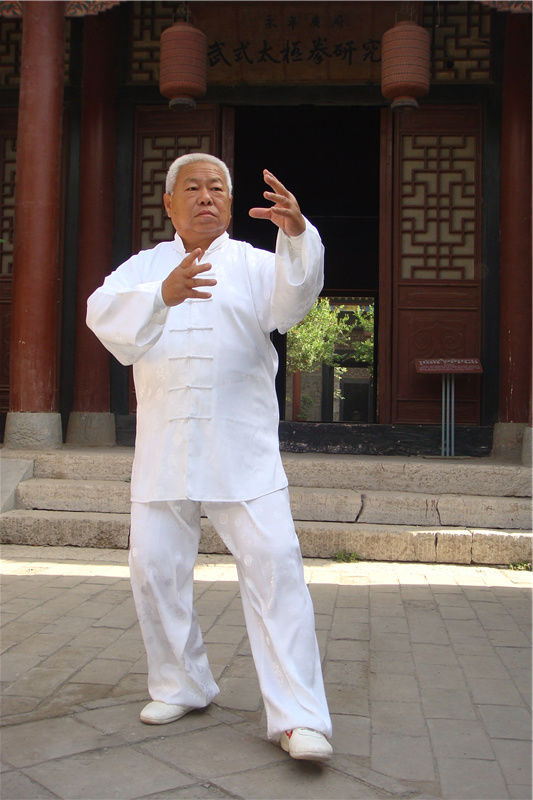 翟维传