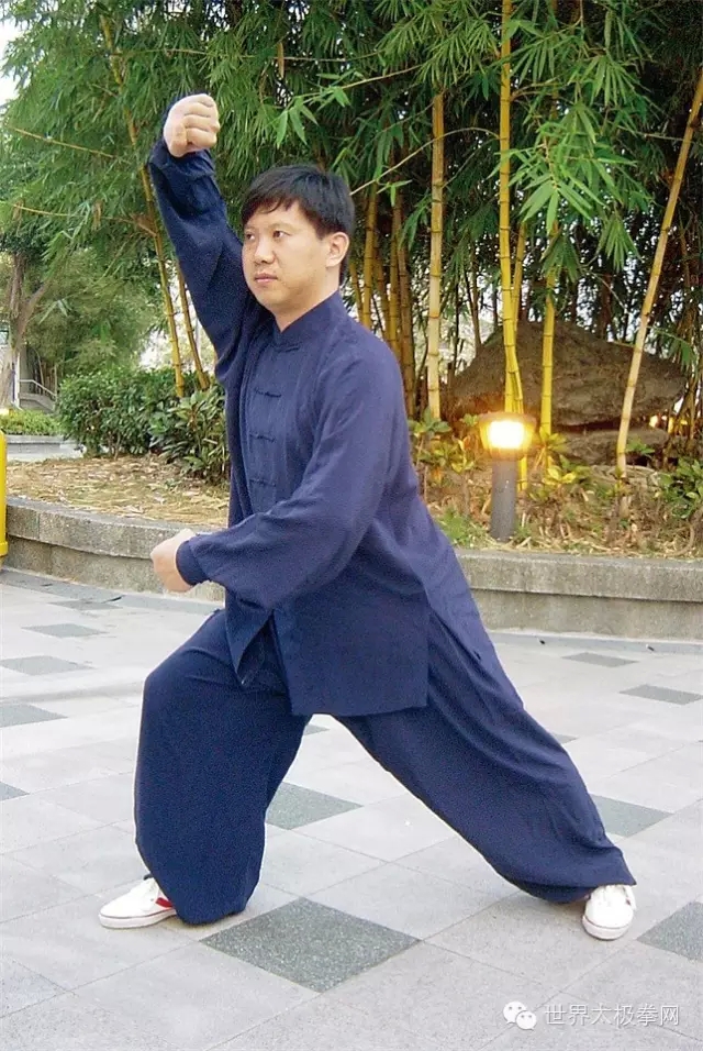 杨军太极拳势
