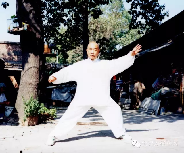 崔玉洁先生拳照