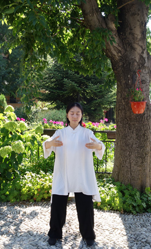 太极拳师陈佳