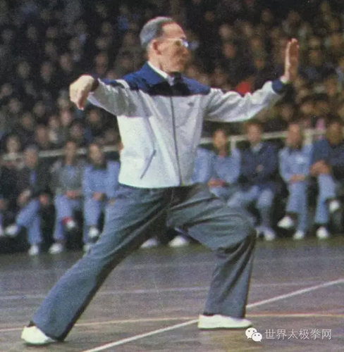 (太极名家李天骥24式太极拳势)