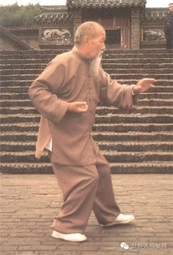 (武式太极拳-姚继祖演示)