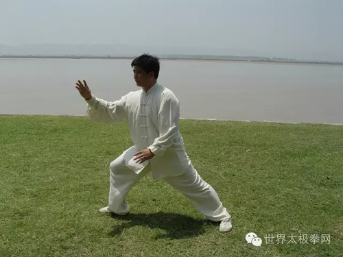 (和式太极拳-和有禄演示)