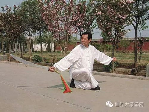 (太极名家王西安太极刀势)