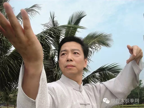 (世界太极拳冠军王二平拳势)