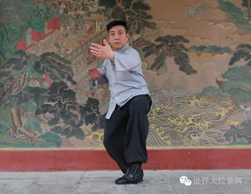 (太极名家傅清泉拳势)