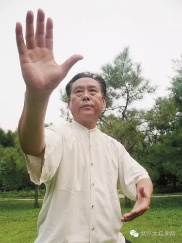 (太极名家赵幼斌太极拳势)