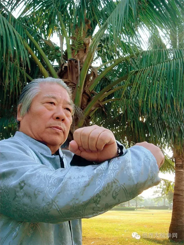 (太极名家傅声远太极拳势)