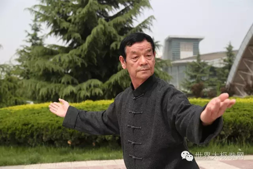 (太极名家李随成拳势)
