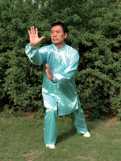 太极名师张全亮