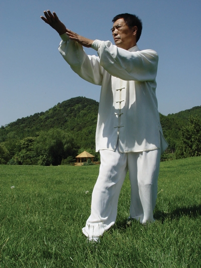 太极名师张全亮