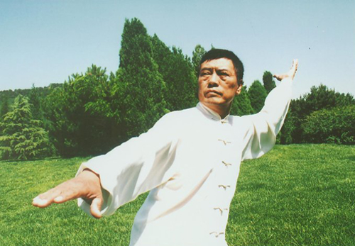 太极名师张全亮
