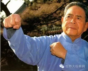 (太极名家冯志强先生)