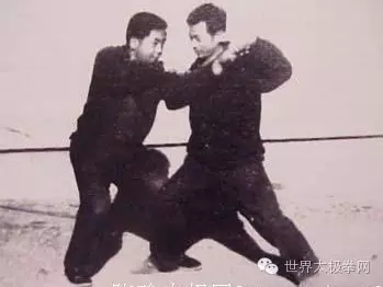 (陈照奎太极推手)