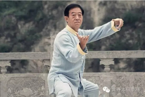 太极名家陈正雷
