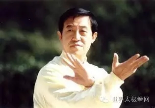 太极名家陈正雷