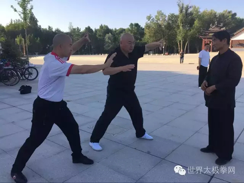 (严国兴讲解推手要领)