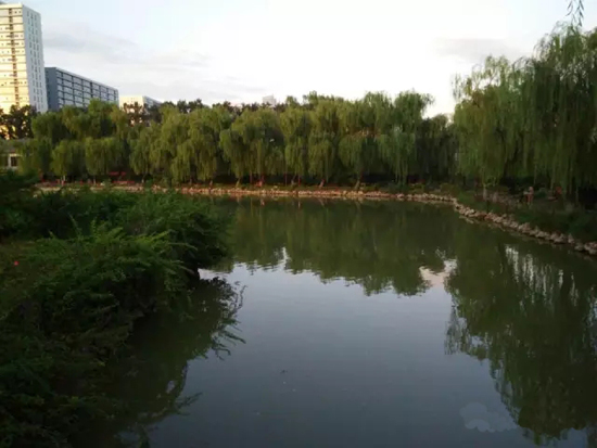 依山傍水环境优美