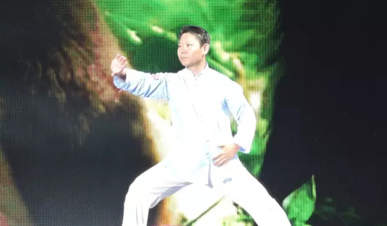 全国太极拳冠军刘彦英表演太极拳