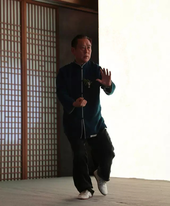 赵幼斌老师表演杨式太极拳