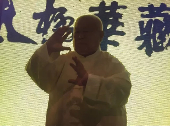 翟维传老师表演武式太极拳