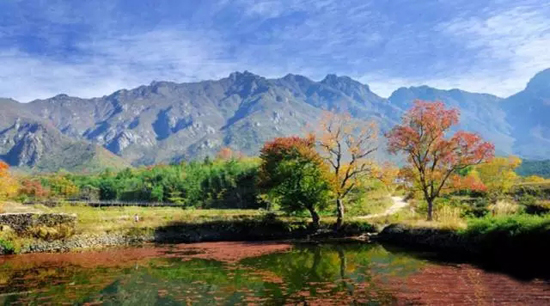 黄柏山