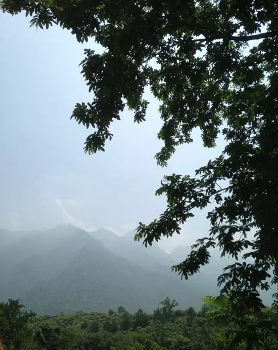 大别山主峰金刚台