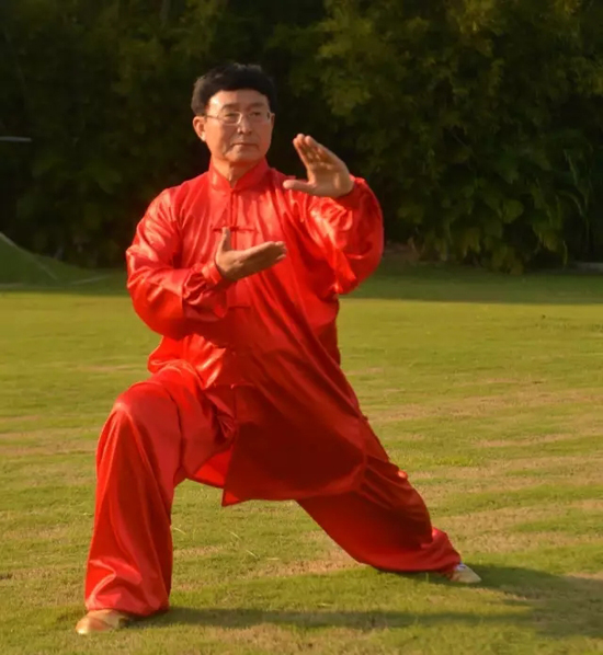崔老师拳架风采