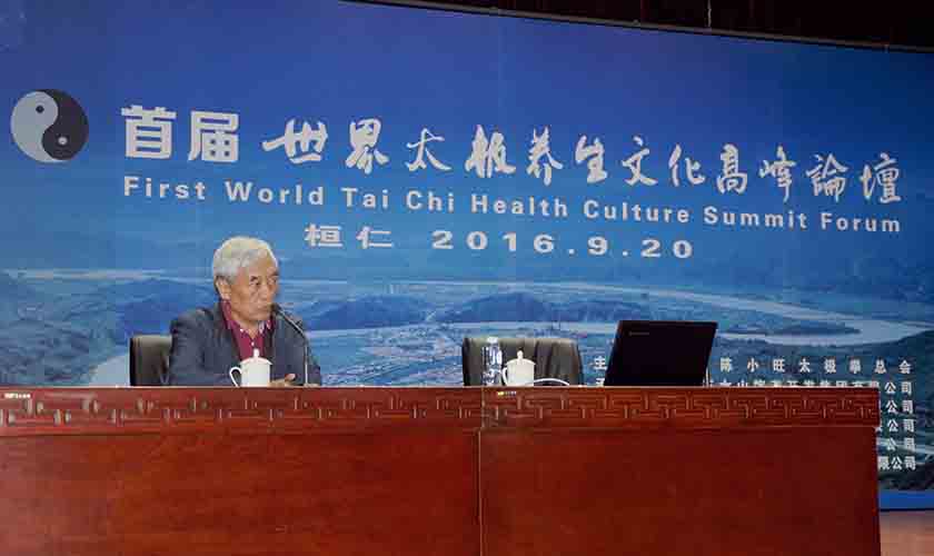 张全亮在高峰论坛上演讲