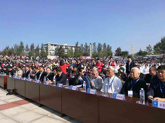 太极拳五大流派代表主席台观看太极拳表演